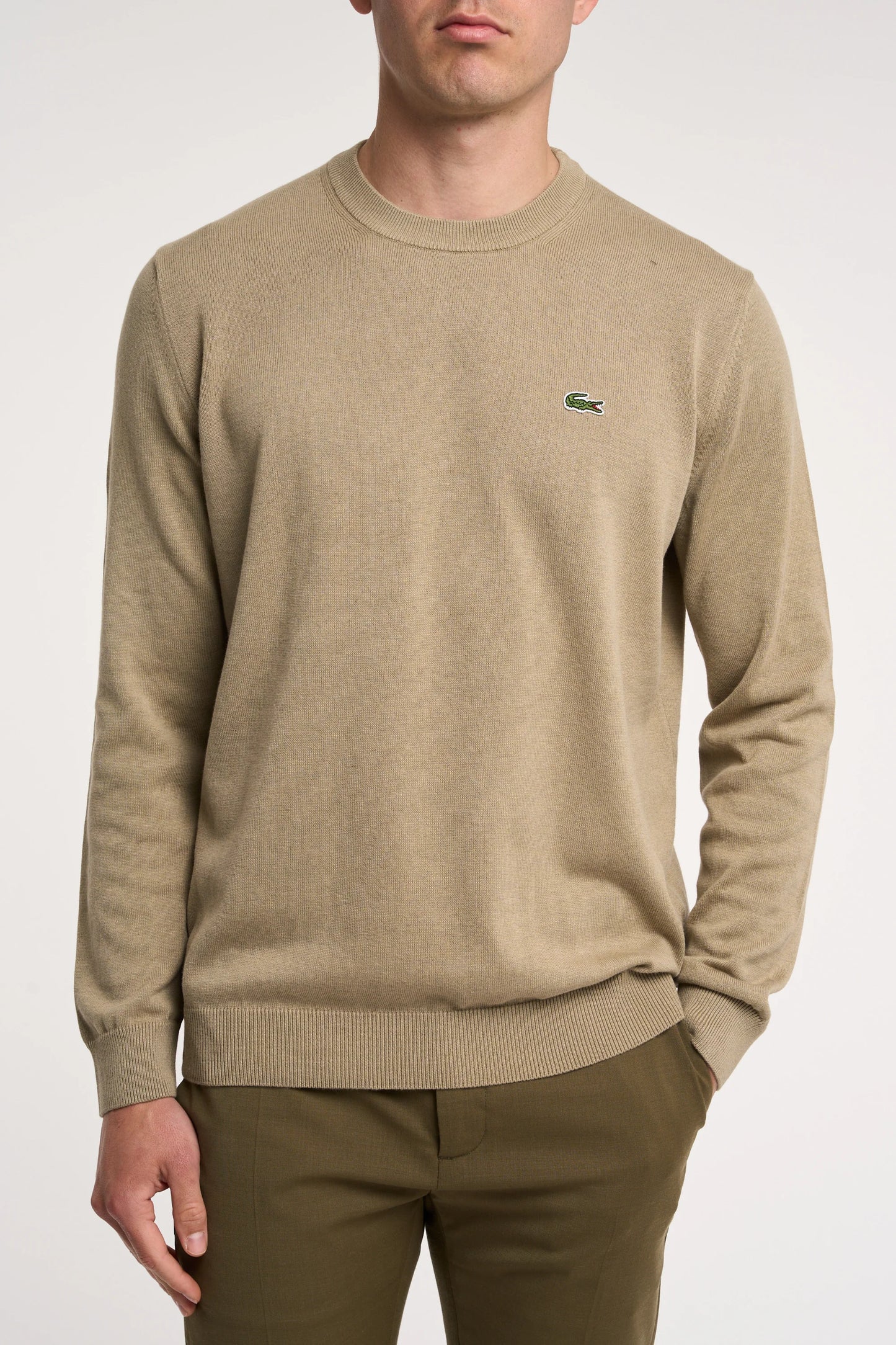 Maglione a Girocollo Misto Cotone